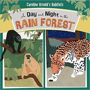 day and night in rainforest